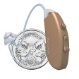 EarCentric Hearing Aid - Melody
